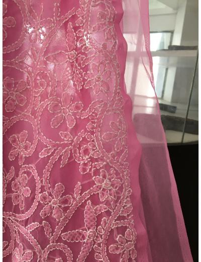 Chhangamal Hand Embroidered Baby Pink Colour Georgette Chikankari Saree