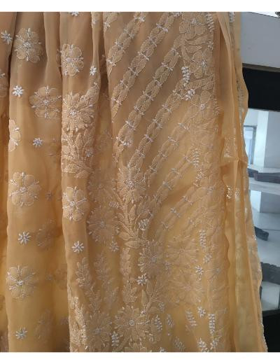 Chhangamal Hand Embroidered Beige Colour Georgette Chikankari Saree