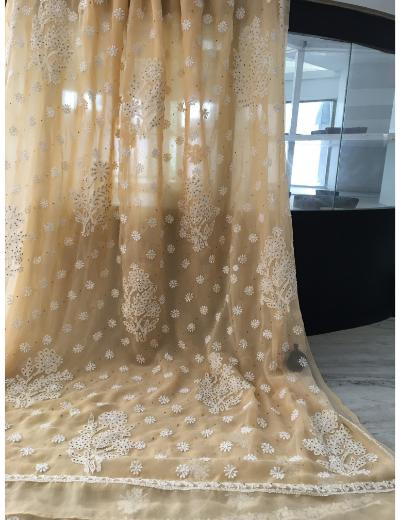 Chhangamal Hand Embroidered Beige Colour Georgette Chikankari Saree