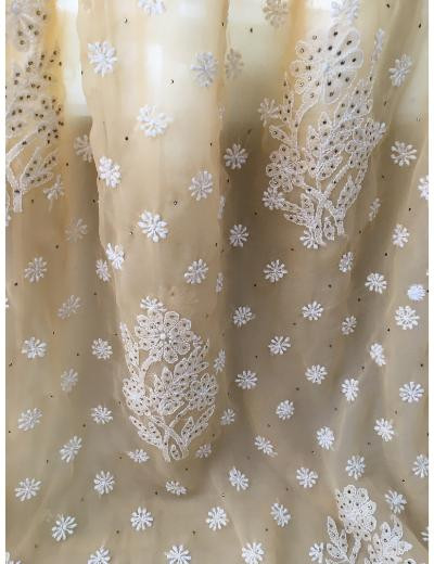 Chhangamal Hand Embroidered Beige Colour Georgette Chikankari Saree