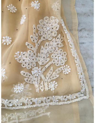 Chhangamal Hand Embroidered Beige Colour Georgette Chikankari Saree