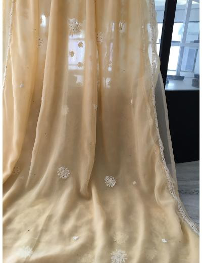 Chhangamal Hand Embroidered Beige Colour Georgette Chikankari Saree