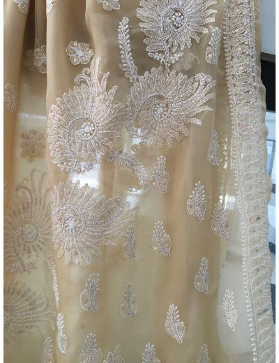 Chhangamal Hand Embroidered Beige Colour Georgette Chikankari Saree