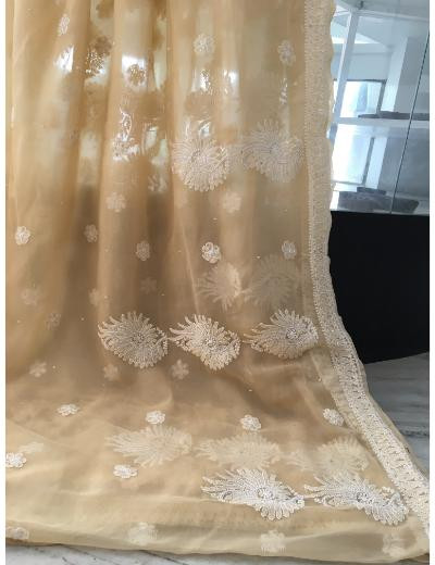 Chhangamal Hand Embroidered Beige Colour Georgette Chikankari Saree