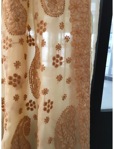Chhangamal Hand Embroidered Beige Colour Georgette Chikankari Saree