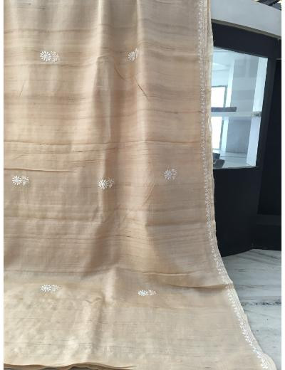 Chhangamal Hand Embroidered Beige Colour Tusser Silk Chikankari Saree