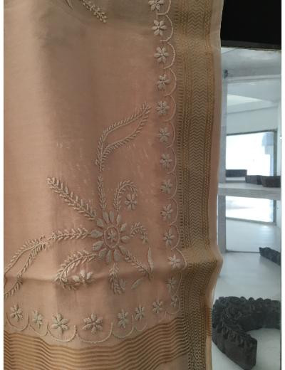 Chhangamal Hand Embroidered Biscuit Colour Chanderi Silk Chikankari Saree