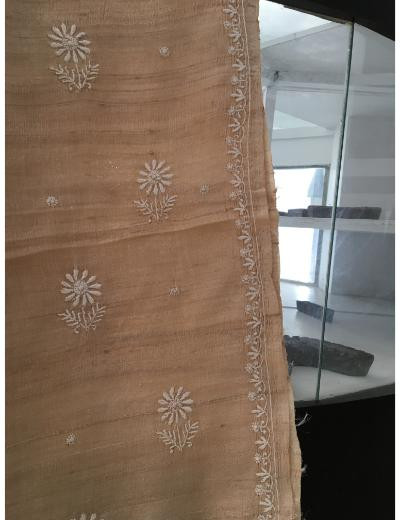 Chhangamal Hand Embroidered Biscuit Colour Chanderi Silk Chikankari Saree