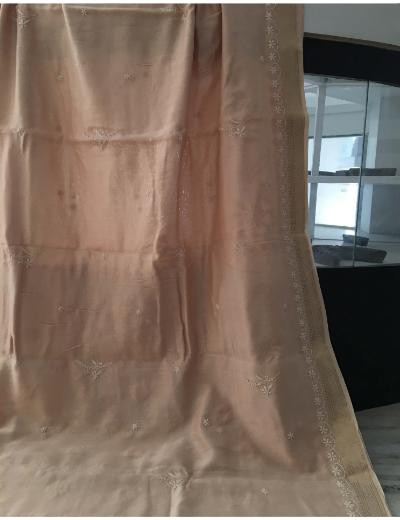 Chhangamal Hand Embroidered Biscuit Colour Chanderi Silk Chikankari Saree
