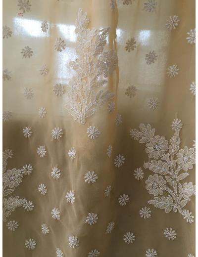 Chhangamal Hand Embroidered Biscuit Colour Georgette Chikankari Saree