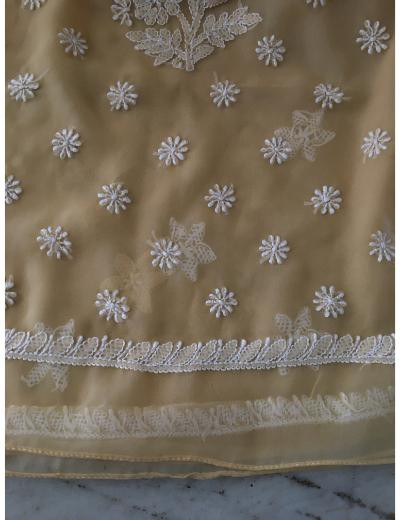 Chhangamal Hand Embroidered Biscuit Colour Georgette Chikankari Saree