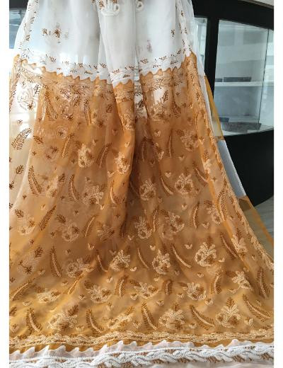 Chhangamal Hand Embroidered Multi Colour Georgette Chikankari Saree