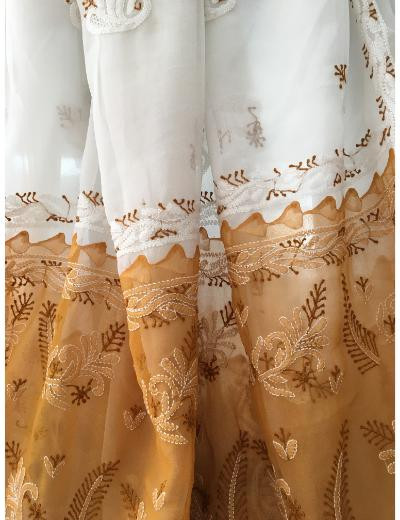 Chhangamal Hand Embroidered Multi Colour Georgette Chikankari Saree