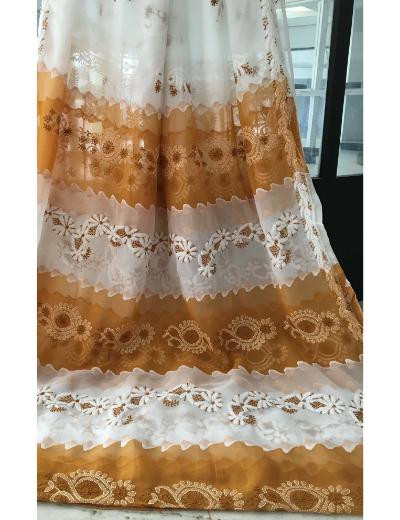 Chhangamal Hand Embroidered Multi Colour Georgette Chikankari Saree