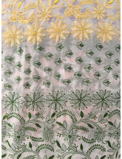 Chhangamal Hand Embroidered Multi Colour Pure Georgette Chikankari Saree