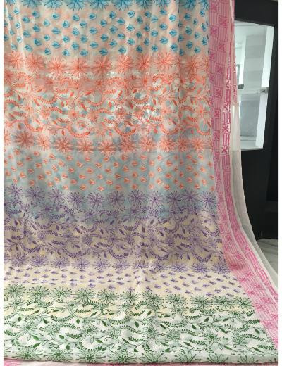 Chhangamal Hand Embroidered Multi Colour Pure Georgette Chikankari Saree