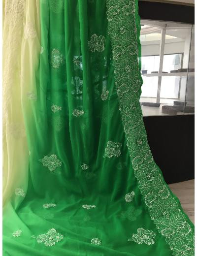 Chhangamal Hand Embroidered Ombre  Colour Georgette Chikankari Saree