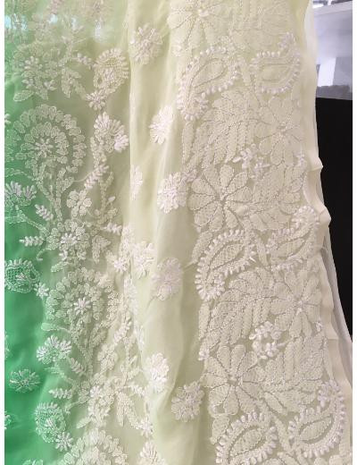 Chhangamal Hand Embroidered Ombre Colour Georgette Chikankari Saree