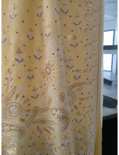 Chhangamal Hand Embroidered Ombre Colour Pure Georgette Chikankari Saree