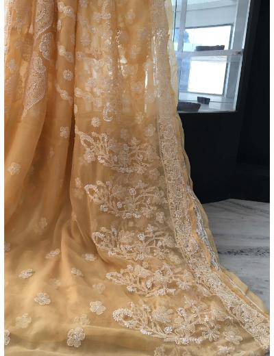 Chhangamal Hand Embroidered Peach Colour Georgette Chikankari Saree