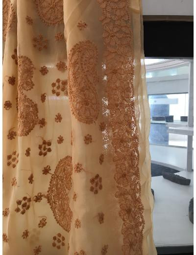 Chhangamal Hand Embroidered Peach Colour Georgette Chikankari Saree