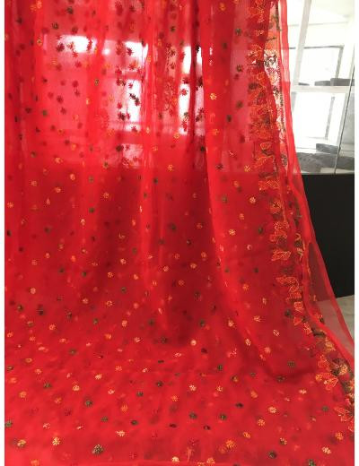 Chhangamal Hand Embroidered Red Colour Georgette Chikankari Saree