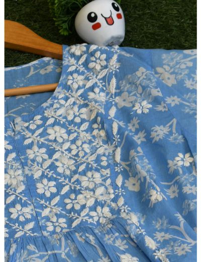 Chhangamal Hand Embroidered Womens Blue Colour Cotton Chikankari Kurti
