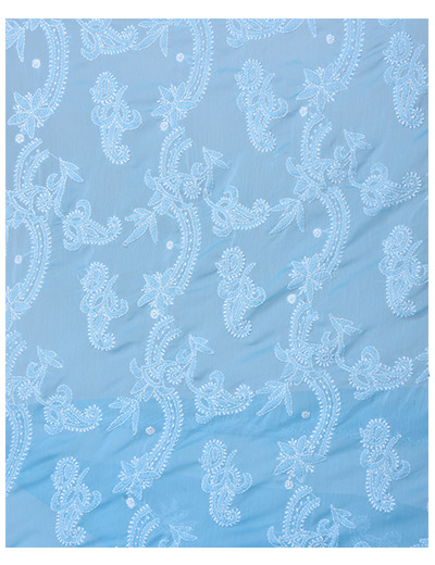 Rohia by Chhangamal Hand Embroidered Border Palla Light Blue Chikankari Saree With Blouse - S9083