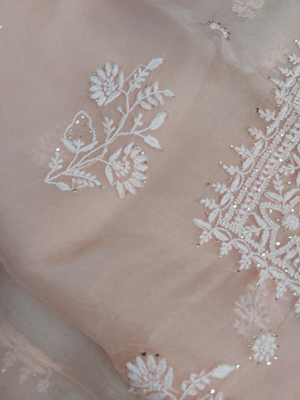 Pure Organza Kurta and Dupatta