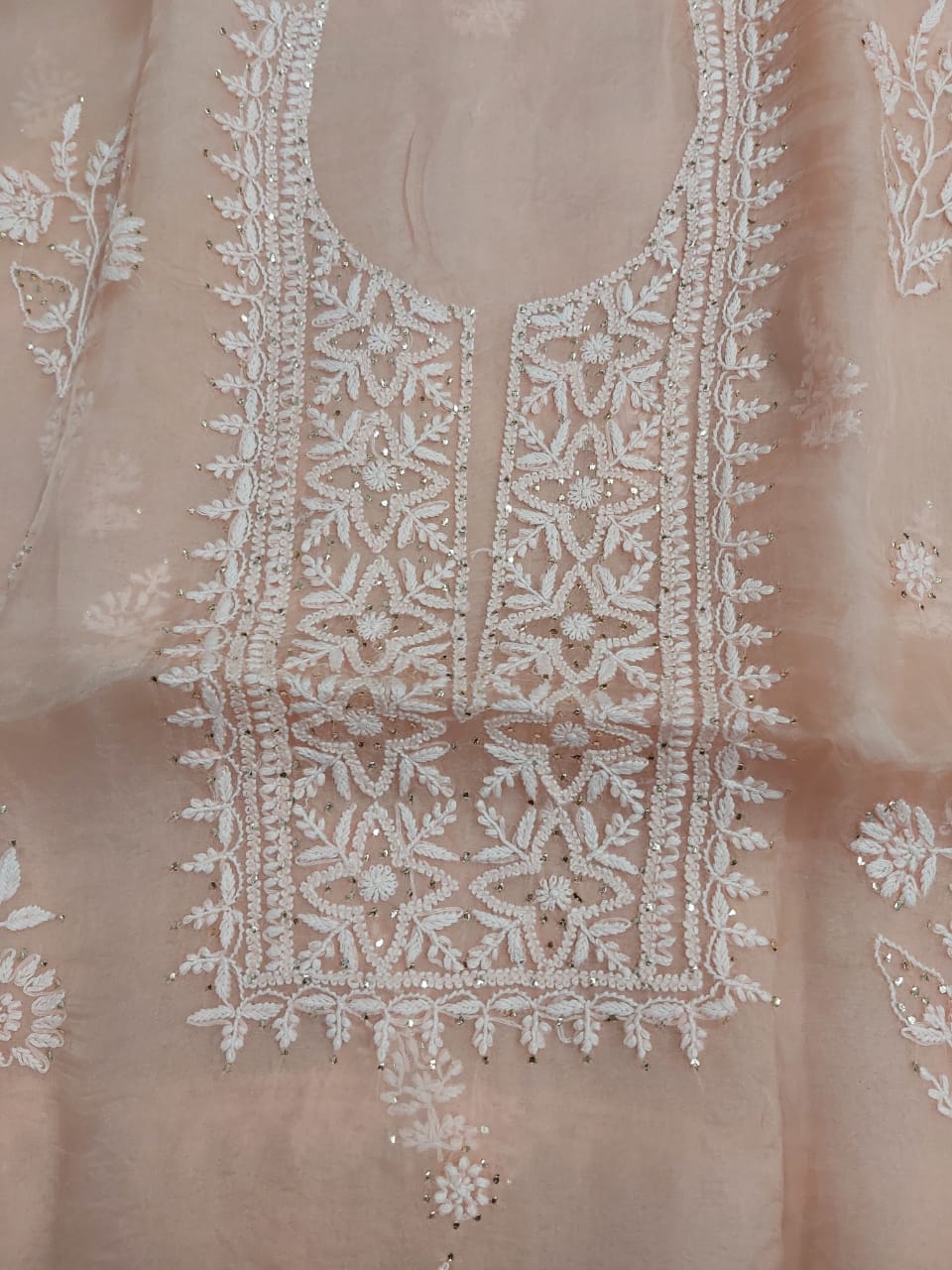 Pure Organza Kurta and Dupatta