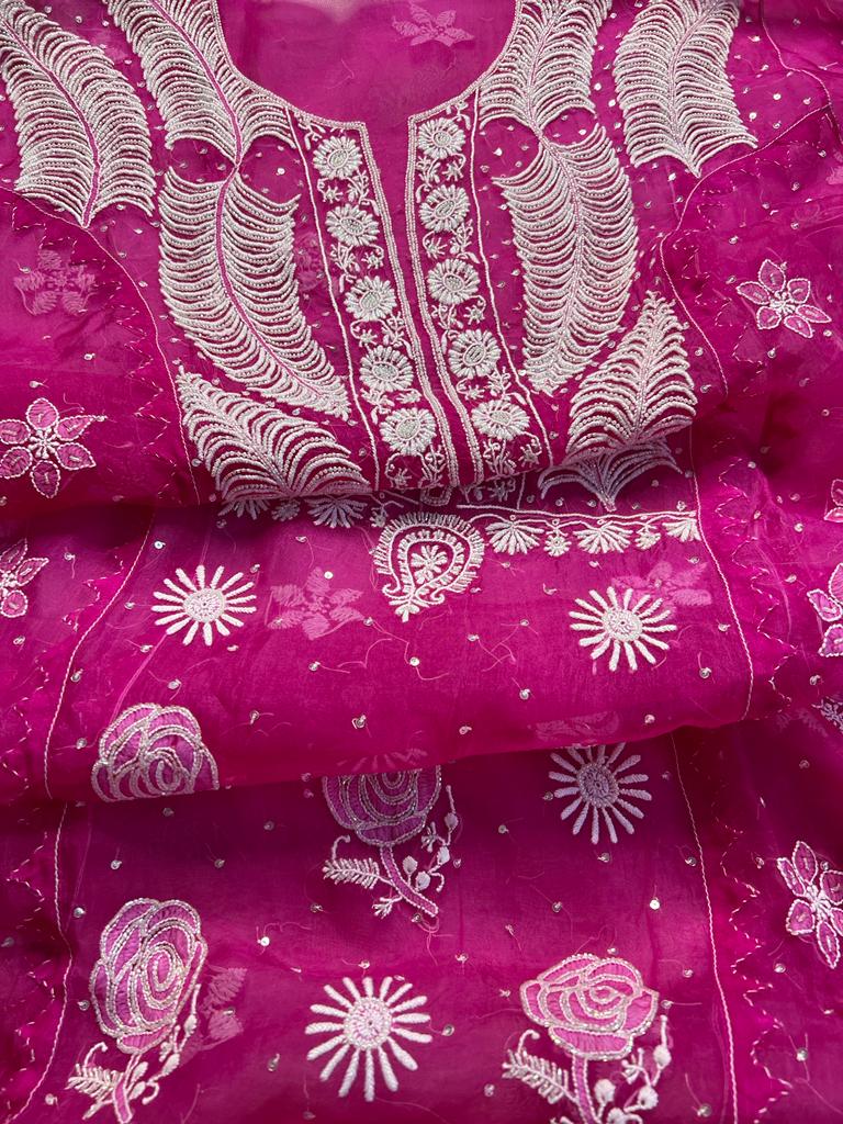 Rani Pink Organza silk Set