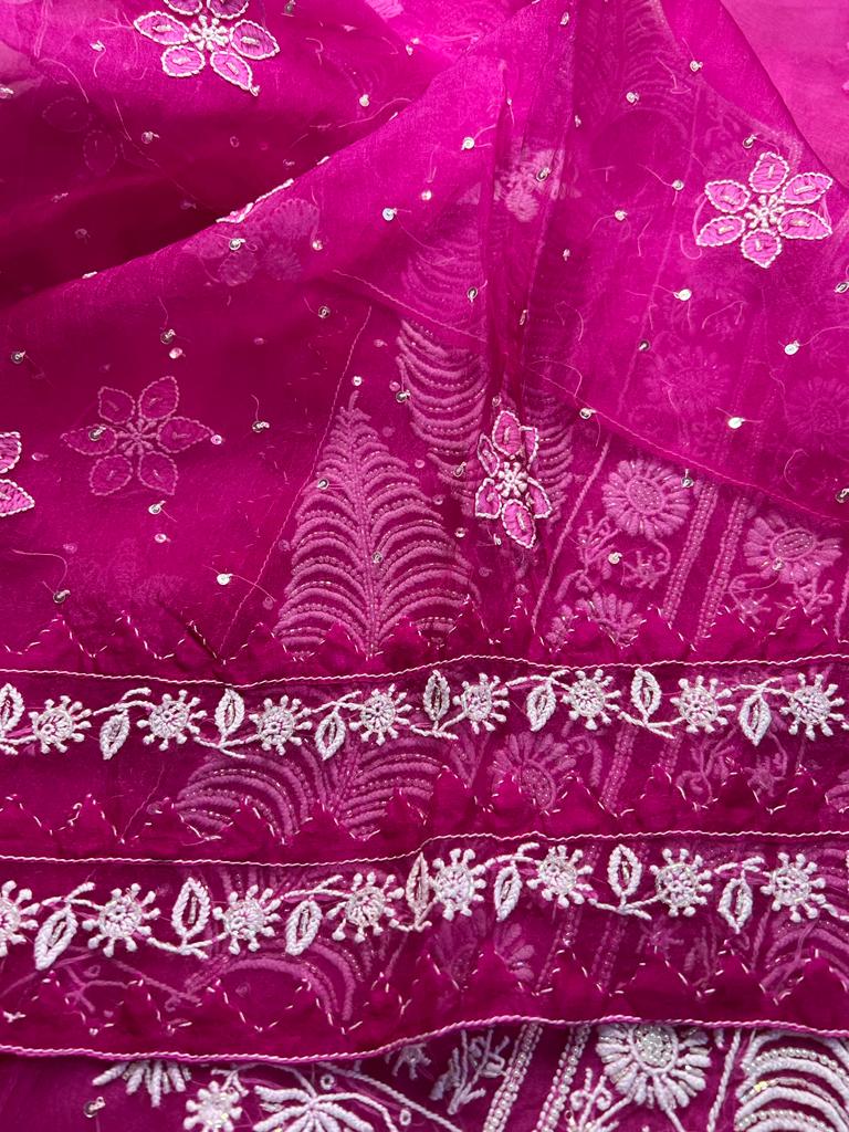 Rani Pink Organza silk Set