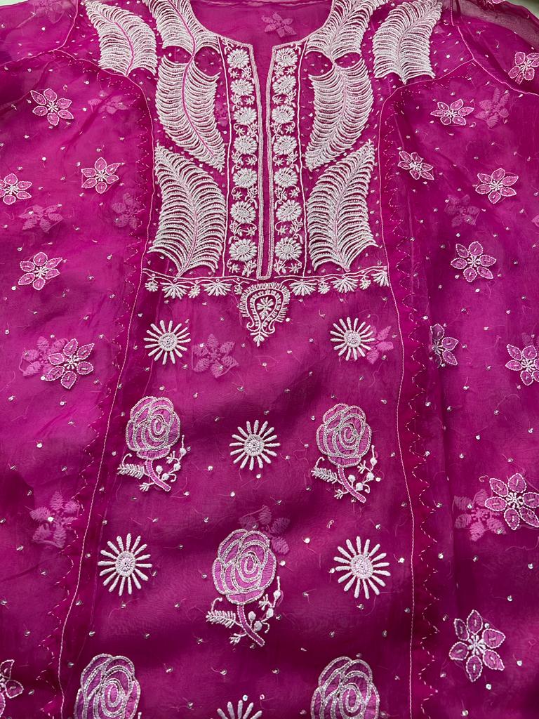 Rani Pink Organza silk Set