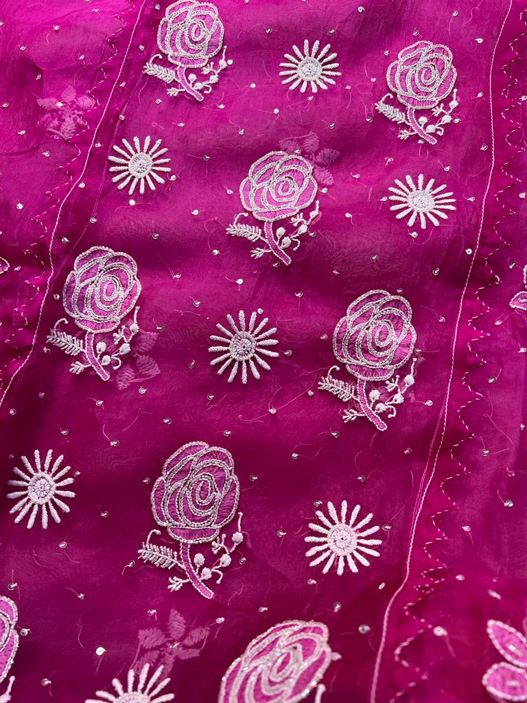 Rani Pink Organza silk Set