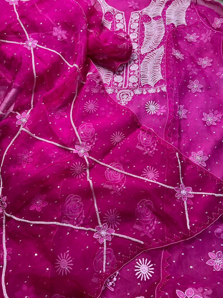 Rani Pink Organza silk Set