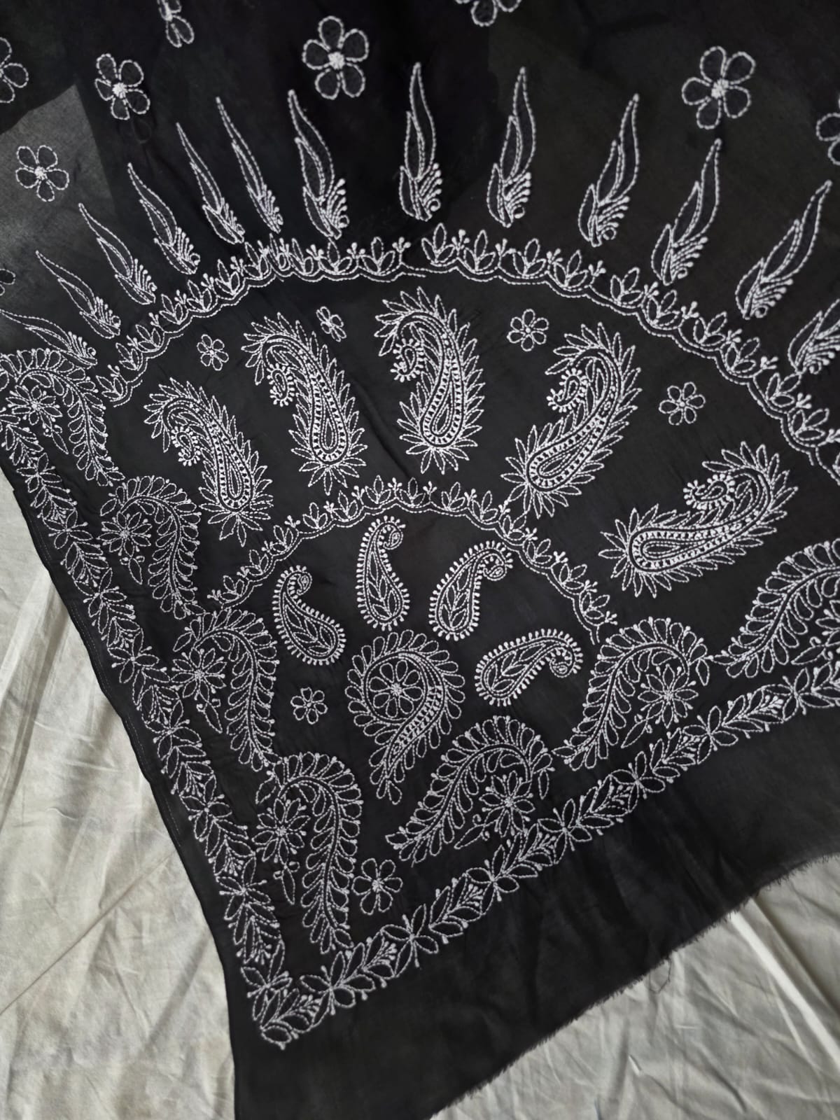 Black Cotton Saree with Beautiful White chikankari