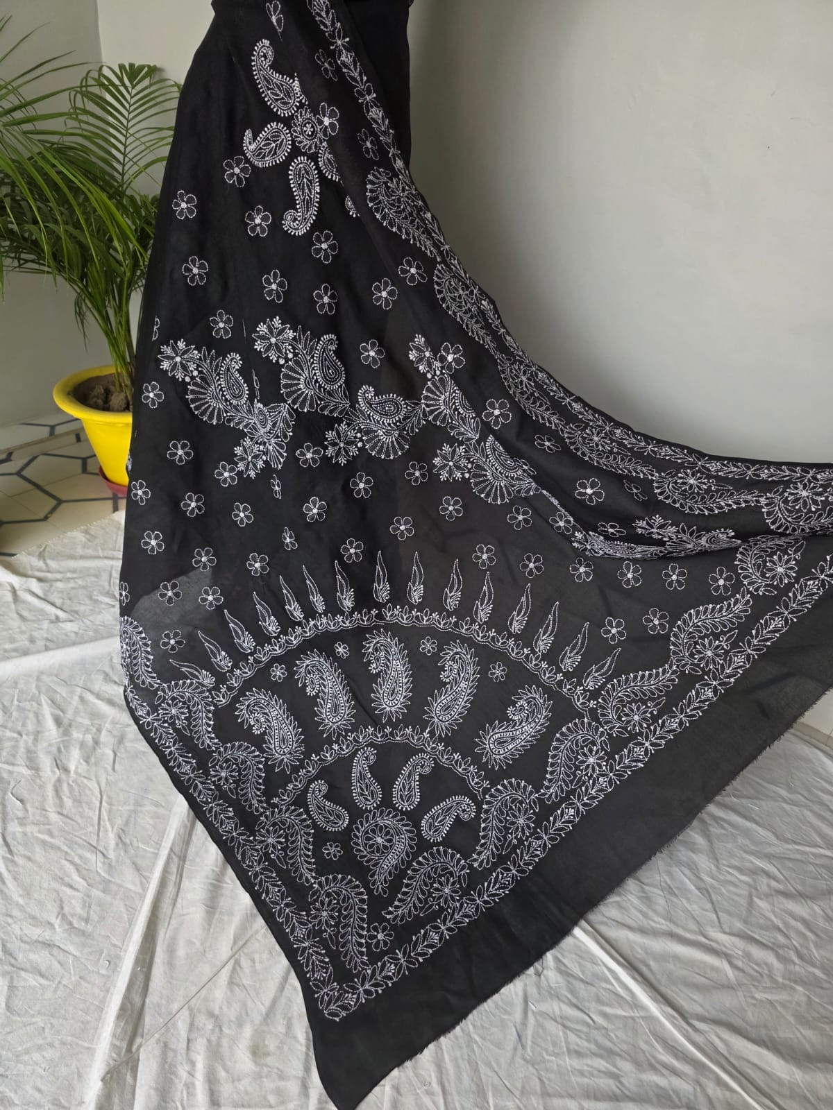 Black Cotton Saree with Beautiful White chikankari