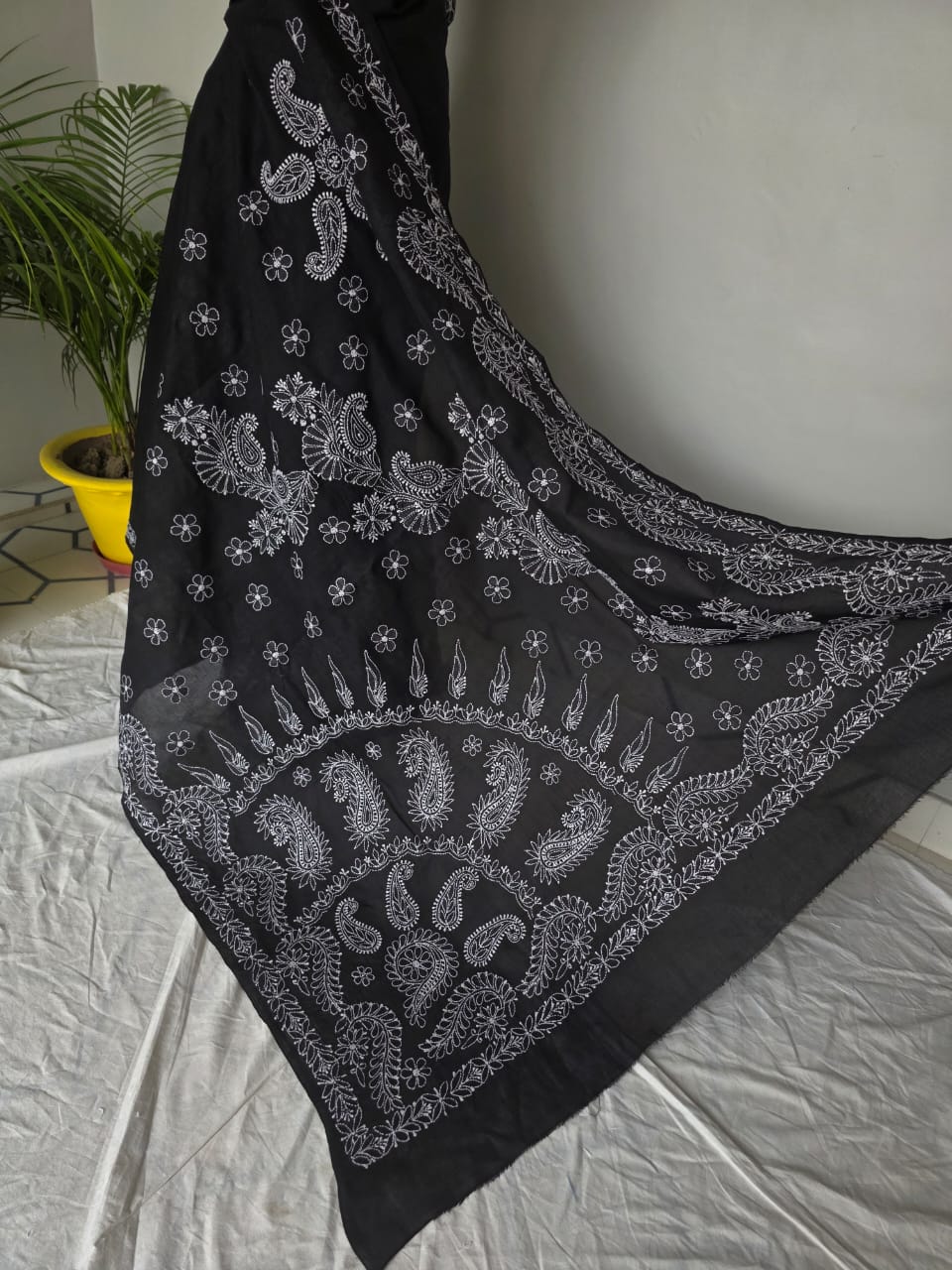 Black Cotton Saree with Beautiful White chikankari