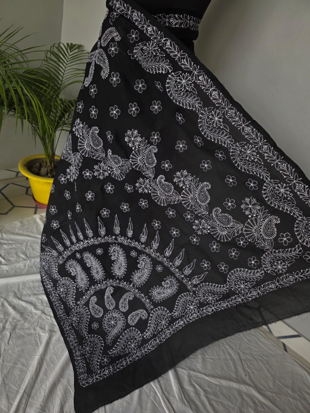 Black Cotton Saree with Beautiful White chikankari