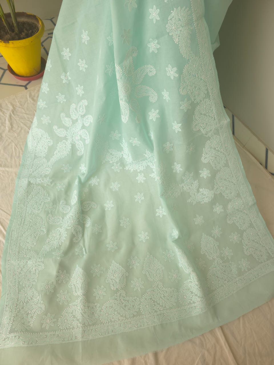 Sea Green Cotton Saree with Beautiful Chikankari
