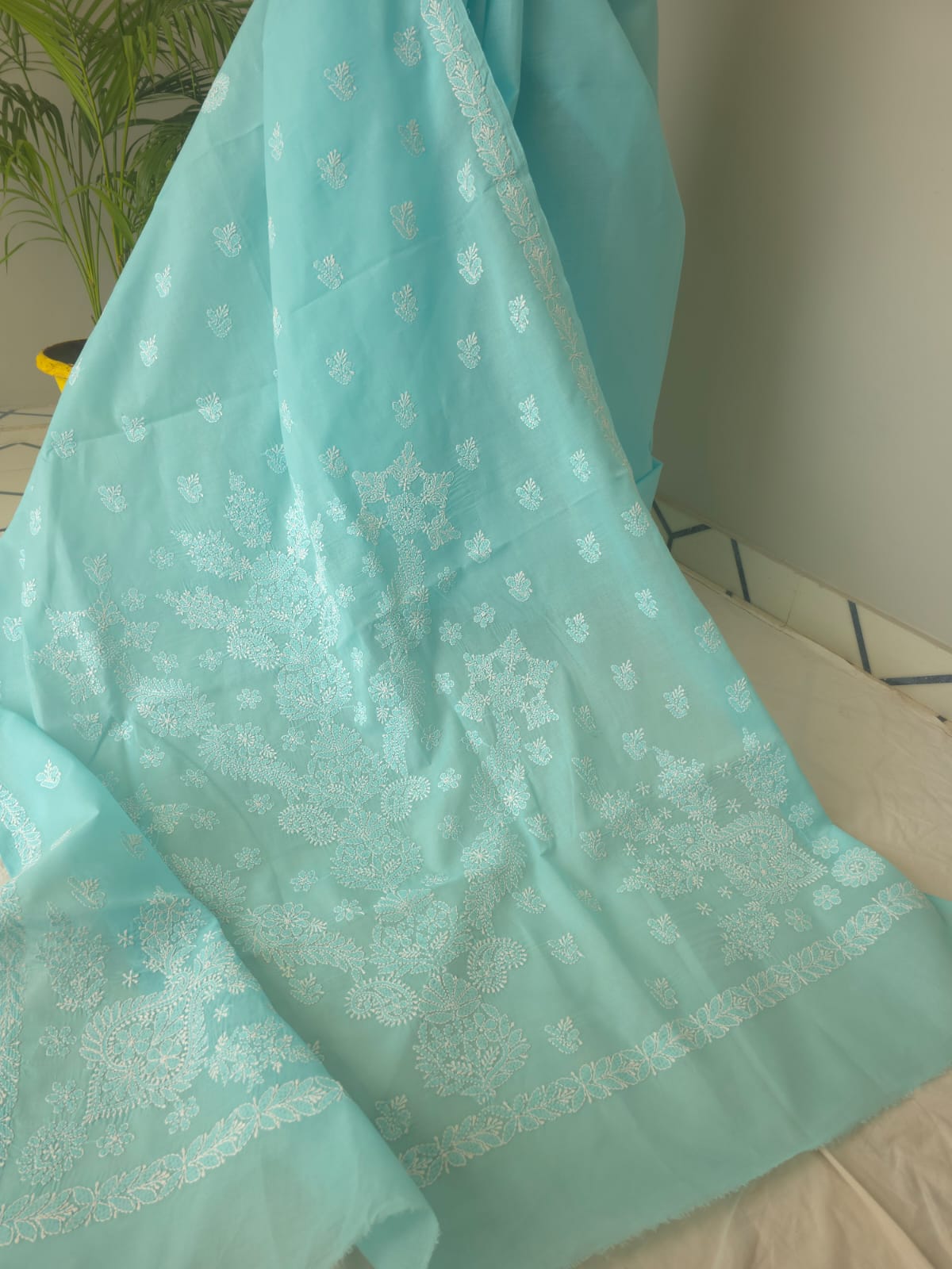 Sky Blue Cotton Saree with beautiful chikankari