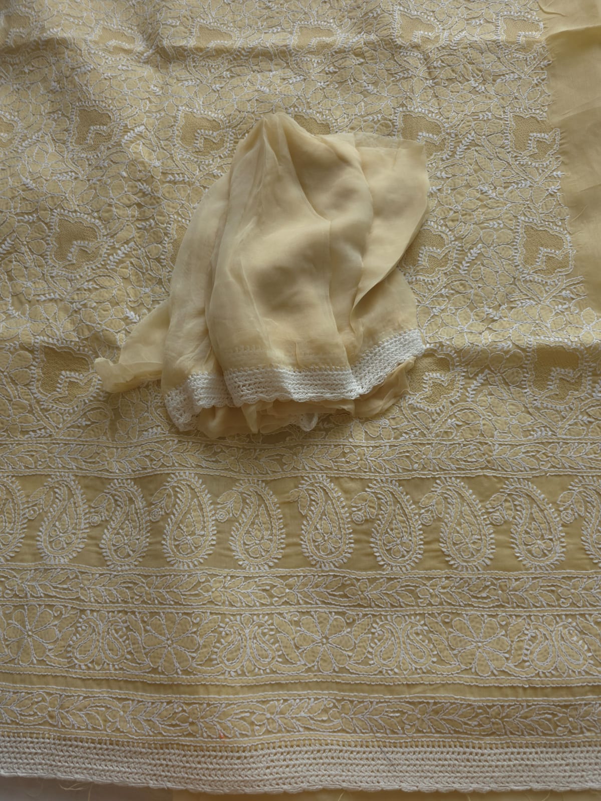 Beige Full suit with fine handwork and intricate Hand knitted Jaaliwork