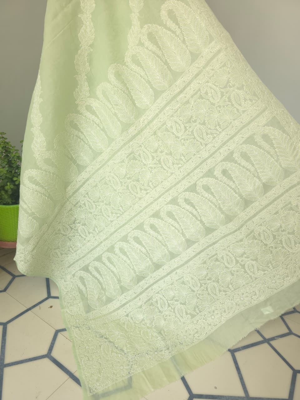 Sage Green Cotton Saree with Beautiful chikankari