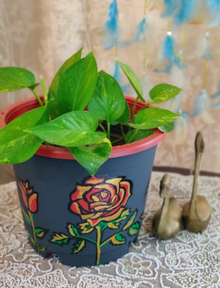 Flower handpainted planter