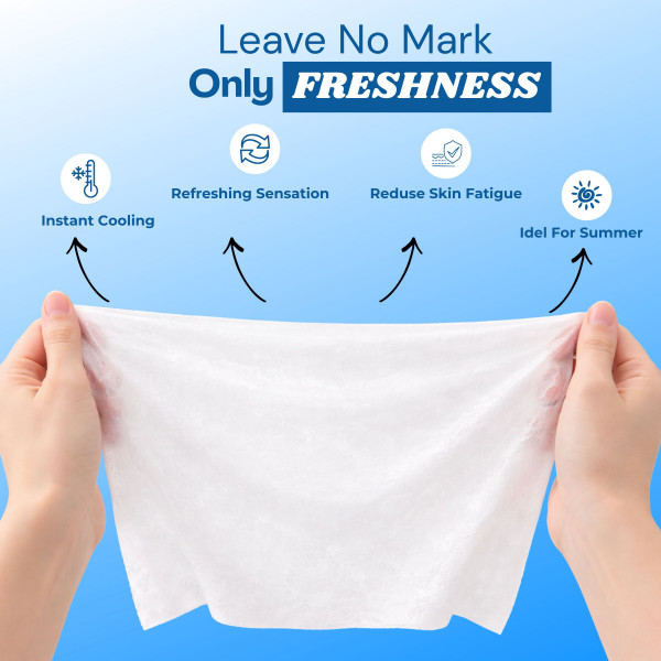 Mint & Aloe Vera Ice Fresh Wet Wipes