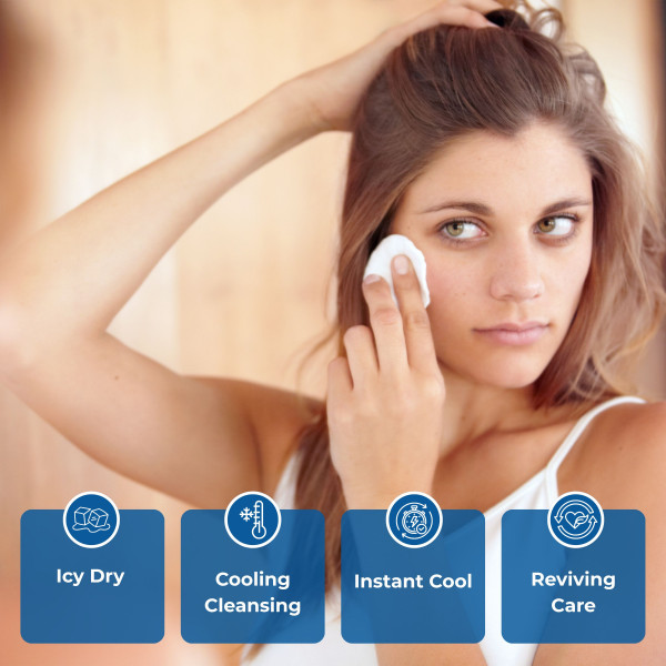 Mint & Aloe Vera Ice Fresh Wet Wipes