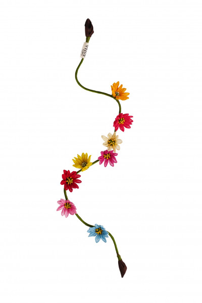 Patakha Parandi/Gajra