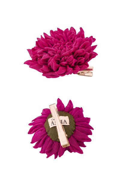 Kansas Hairclip