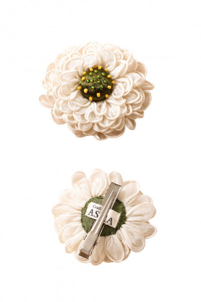 Aniaz Hair Slide