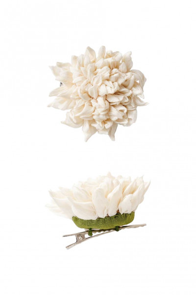 Peony white